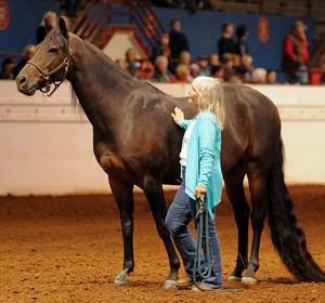 Ruella and Pocket at the American Horsewoman's Challenge in Guthrie, Oklahoma