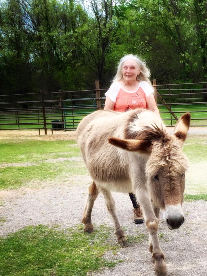 Ruella Yates working with Jenny the donkey - many students had the opportunity to work with a donkey for the first time!