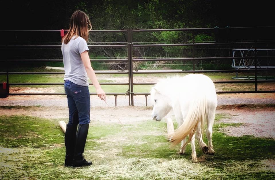 Veronica with Jackie offering to go over cavaletti.