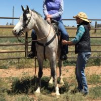 Vital Pelvic Techniques for Horse and Rider | Zoom Online | April 30th, 2026 | 4-7 p.m. Mountain Time