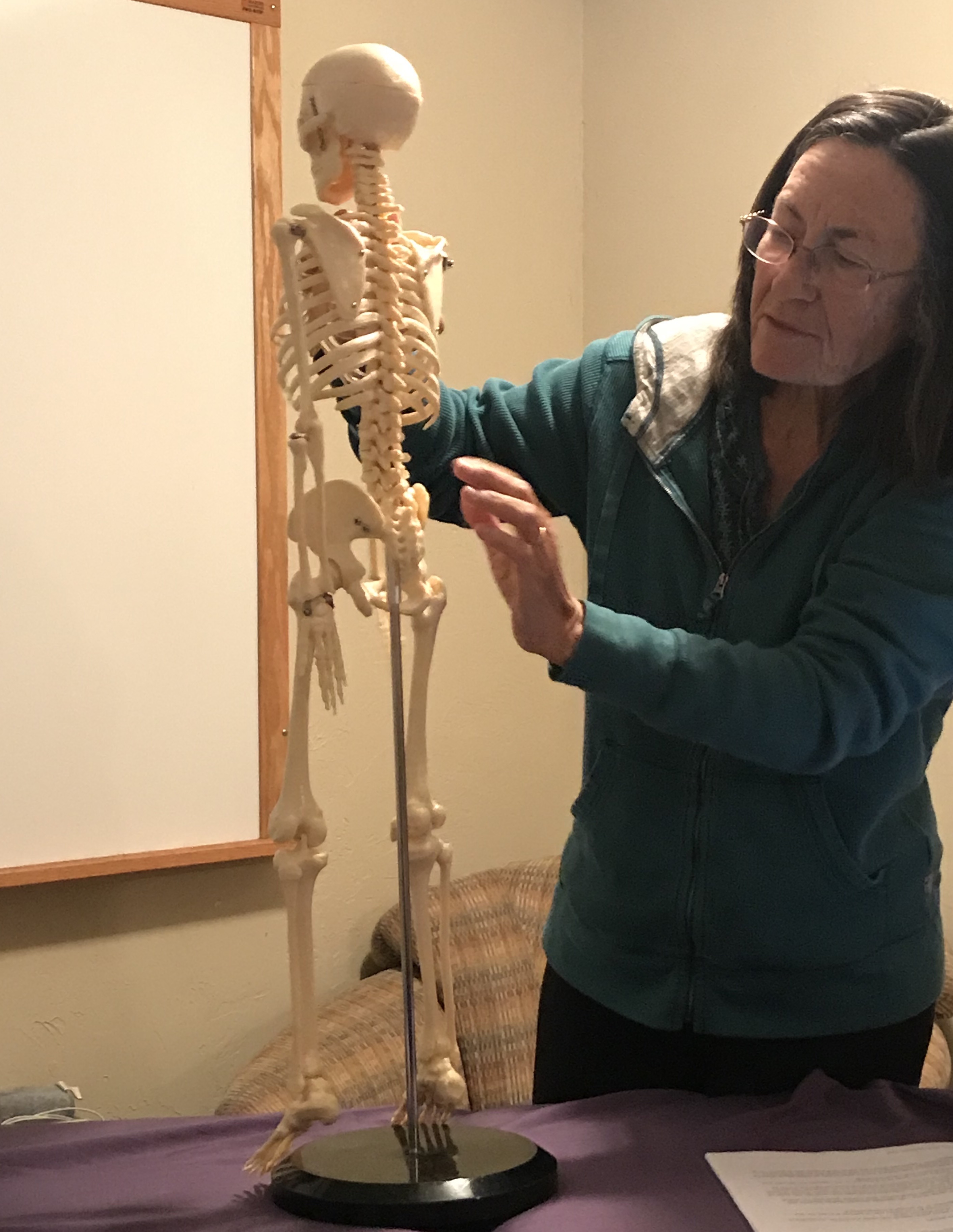 Consultation - Ortho-Bionomy or Equine Body Balance - Image 5