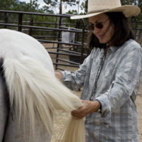 Inside the Equine Pelvis and Sacrum | 5 Classes | September 18-October 14, 2025 | Tuesdays 11 a.m. - 2:15 p.m. Mountain Time | Zoom Online