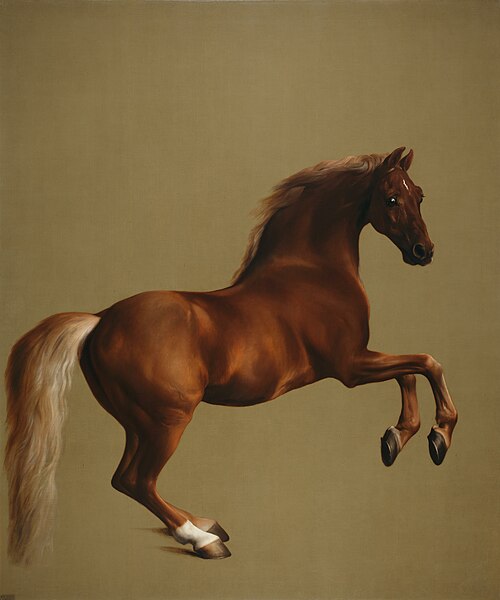 Stepping Out: Equine Limbs, Ligaments and Tendons | 5 Classes | October 20th-November 17th, 2026 | Tuesdays 11 a.m. - 2:15 p.m. Mountain Time | Zoom Online - Image 2
